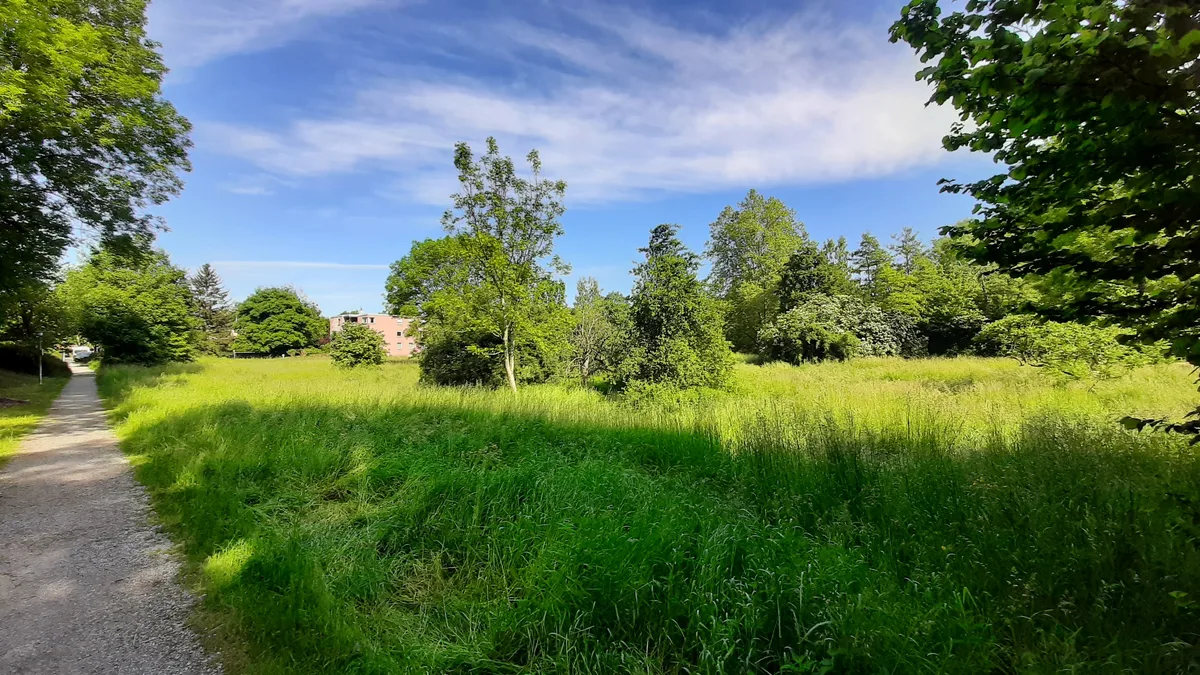 Wiese, Acker und ein Wäldchen innerhalb eines Wohnquartiers.